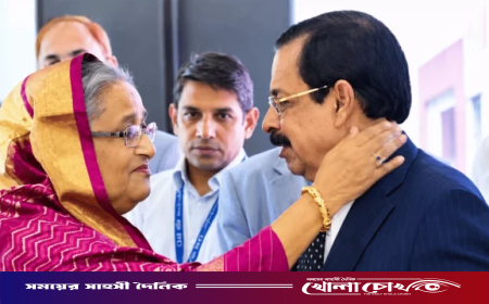 অনুপস্থিতিতে দলের দায়িত্বে শেখ সেলিম, ডিসেম্বরেই ফেরার ঘোষণা শেখ হাসিনার