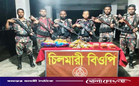 দৌলতপুর সীমান্তে বিজিবির পৃথক অভিযান: প্রায় ১৪ লাখ টাকার ভারতীয় মাদক ও চোরাচালানি পণ্য জব্দ
