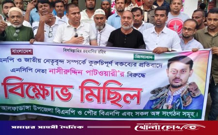 জাতীয় নেতাদের নিয়ে কটূক্তির অভিযোগ: আলফাডাঙ্গায় নাসীরুদ্দীন পাটওয়ারীর বিরুদ্ধে বিএনপির বিক্ষোভ