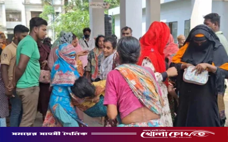 নড়াইলে যুবককে কুপিয়ে হত্যা, নারীসহ আহত ৭