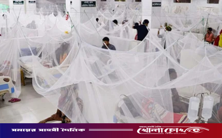 ডেঙ্গুতে একদিনে সর্বোচ্চ ৯ জনের মৃত্যু, নতুন আক্রান্ত ১৫৭১