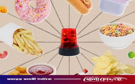 প্রক্রিয়াজাত ৩১ পণ্যে পাওয়া গেছে ভারী ধাতু
