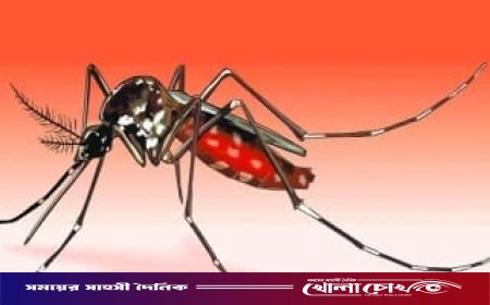 ফরিদপুরে ডেঙ্গুতে আরও একজনের মৃত্যু, ২৪ ঘণ্টায় নতুন রোগী ভর্তি ২৪