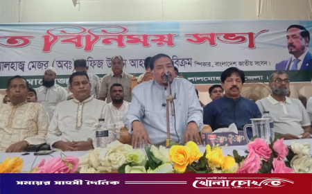 শেখ হাসিনা ছিলেন ‘বিশ্বসেরা অভিনেত্রী’: মেজর (অব.) হাফিজ উদ্দিন আহমেদ