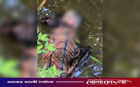 রাজারহাটে ময়লার ড্রেন থেকে নবজাতকের মরদেহ উদ্ধার, এলাকায় চাঞ্চল্য