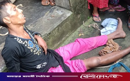 দৌলতপুরে নারীর ছদ্মবেশে চুরি করতে গিয়ে যুবক আটক, এলাকায় চাঞ্চল্য