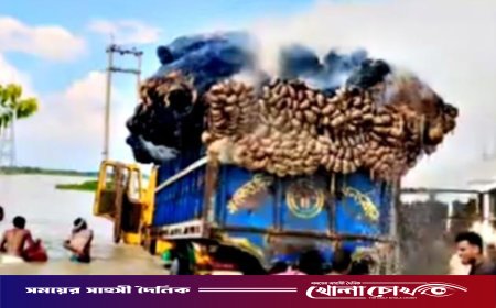 দৌলতপুরে শর্ট সার্কিট থেকে ট্রাকে আগুন: ৩০০ মণ পাট পুড়ে ছাই, ক্ষতি প্রায় ১২ লাখ টাকা