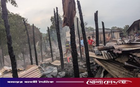 বলীপাড়া বাজারে ভয়াবহ অগ্নিকাণ্ড: ১৩ দোকান পুড়ে ছাই, কোটি টাকার ক্ষতি