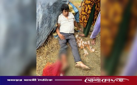 ফরিদপুরে জমি বিরোধের জেরে বাড়ি ঢুকে স্কুলশিক্ষককে গুলি, ভাঙচুর