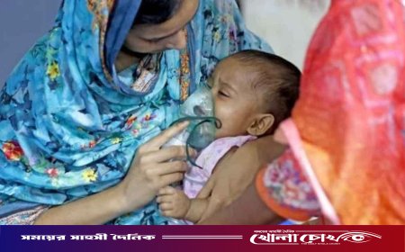 ফরিদপুরে ২৪ ঘণ্টায় ১০ জনের হাম শনাক্ত, মোট আক্রান্ত ৫ হাজার ৮১৪