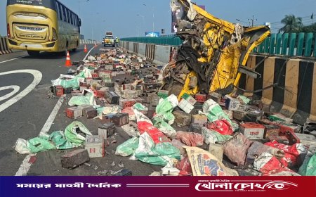 ভাঙ্গায় এক্সপ্রেসওয়ের রেলিংয়ে ব্যাটারিবোঝাই ট্রাকের ধাক্কা, আহত ৩