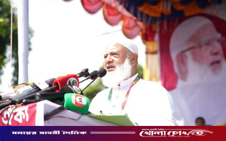 বিএনপি পানি খাবে কিন্তু ঘোলা করে: জামায়াত আমির