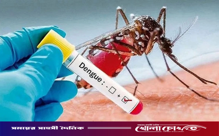 গাজীপুরে ডেঙ্গুর ভয়াবহ প্রকোপ, ২০ দিনে ১৩ জনের প্রাণহানি