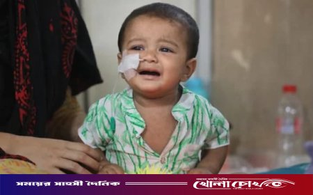 ফরিদপুরে ২৪ ঘণ্টায় আরও ২৯ জনের হাম শনাক্ত, নতুন মৃত্যু নেই