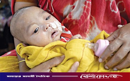 ফরিদপুরে ২৪ ঘণ্টায় নতুন ৫১ হামের রোগী শনাক্ত, মৃত্যু নেই