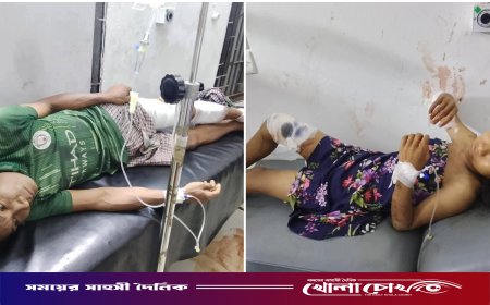 থানচিতে জুমখেতে বুনো শূকরের আক্রমণ, বাবা-মেয়ে গুরুতর আহত
