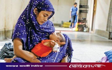 ফরিদপুরে ২৪ ঘণ্টায় আরও ৪৬ জন হামে আক্রান্ত, মোট রোগী ছাড়াল ৬ হাজার