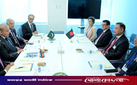 প্রধানমন্ত্রী তারেক রহমানের সঙ্গে পাকিস্তানের প্রধানমন্ত্রীর বৈঠক