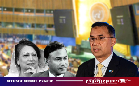 বিশ্বমঞ্চে দাঁড়িয়ে স্মৃতিকাতর প্রধানমন্ত্রী তারেক রহমান