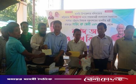 বলীপাড়া বাজারে আগুনে ক্ষতিগ্রস্ত ১৪ পরিবার পেল ত্রাণ ও নগদ অর্থ সহায়তা