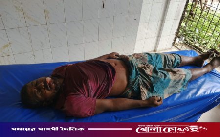 দৌলতপুরে অজ্ঞাত গাড়ির ধাক্কায় সাইকেল আরোহী নিহত