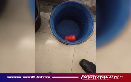 কুষ্টিয়ার দৌলতপুরে রাস্তার পাশ থেকে তাজা ককটেল উদ্ধার