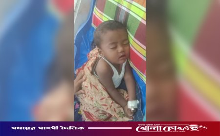 ফরিদপুরে ২৪ ঘণ্টায় নতুন ৩৬ জনের হামের উপসর্গ, হাসপাতালে ভর্তি ১১০