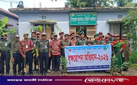 ভাঙ্গায় আনসার-ভিডিপির উদ্যোগে ৬ শতাধিক তালগাছসহ বিভিন্ন প্রজাতির বৃক্ষরোপণ