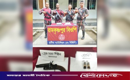 দৌলতপুর সীমান্তে বিজিবির অভিযান: দেশীয় পিস্তল ও গুলি উদ্ধার