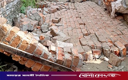 নগরকান্দায় দেয়াল ধসে পড়ে যুবকের মর্মান্তিক মৃত্যু