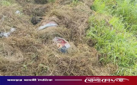 দৌলতপুরে নিখোঁজের দুই দিন পর মাঠ থেকে যুবকের অর্ধগলিত মরদেহ উদ্ধার