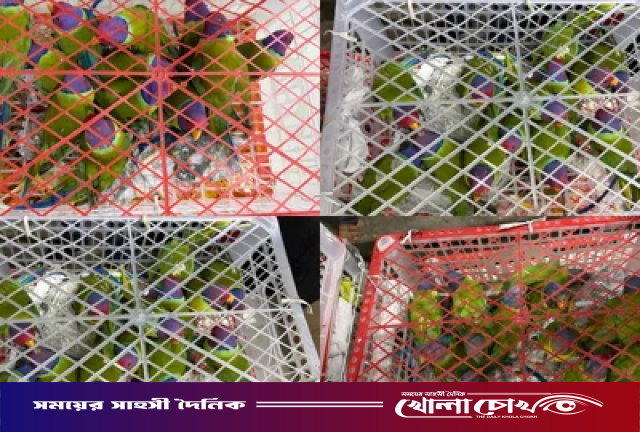 বিদেশে পাচার করতে বাসের সাইডবক্সে রাখা ছিল ১০৩টি টিয়া