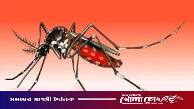 ফরিদপুরে ডেঙ্গুতে আরও একজনের মৃত্যু, ২৪ ঘণ্টায় নতুন রোগী ভর্তি ২৪