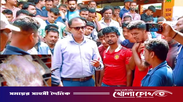 বোয়ালমারীতে জীবিত মুরগির বদলে মরা মুরগি দেওয়ার চেষ্টা: ব্যবসায়ীর জরিমানা