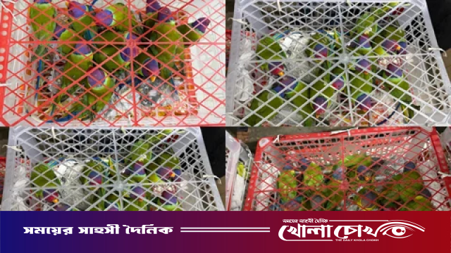 বিদেশে পাচার করতে বাসের সাইডবক্সে রাখা ছিল ১০৩টি টিয়া