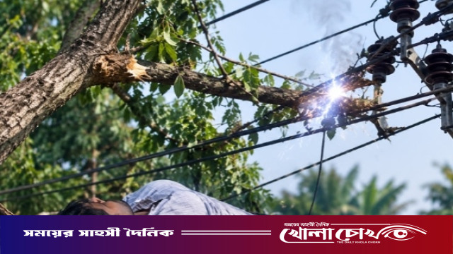 কাউখালীতে ছাগলের পাতা কাটতে গাছে উঠে বিদ্যুৎস্পৃষ্টে বৃদ্ধের মৃত্যু