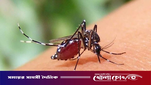 ফরিদপুরে ২৪ ঘণ্টায় ডেঙ্গুতে আক্রান্ত ৩২, হাসপাতালে চিকিৎসাধীন ৩২৬