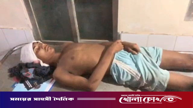ঢাকা-মাওয়া এক্সপ্রেসওয়েতে ফুল তুলতে গিয়ে পিকআপের চাপায় স্কুলছাত্রের মৃত্যু