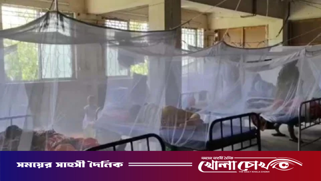 ময়মনসিংহ মেডিকেলে ডেঙ্গুতে আরও ২ জনের মৃত্যু
