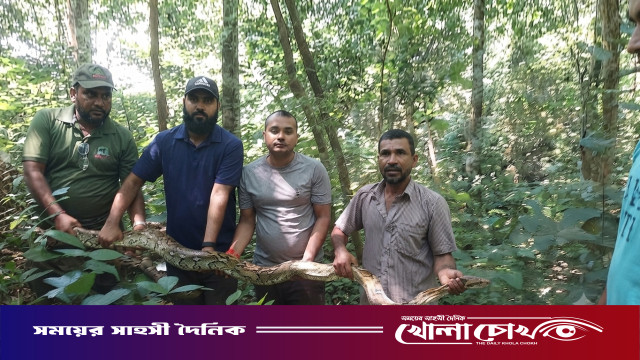 রাঙামাটি থেকে উদ্ধার হওয়া ৯ ফুটের অজগর কাপ্তাই জাতীয় উদ্যানে অবমুক্ত