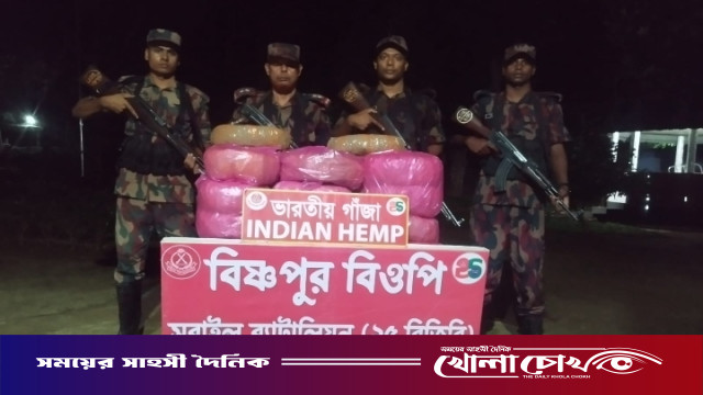 বিজয়নগরে বিজিবির অভিযানে ৪০ কেজি ভারতীয় গাঁজা উদ্ধার, পাচারকারীরা পলাতক
