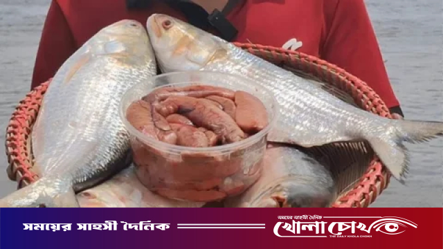 ভারত থেকে ৫০০ টন ইলিশ আমদানি, গুজরাটি এই মাছের বিশেষত্ব কী