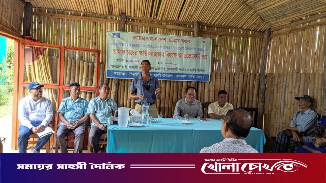 থানচিতে তামাক ছেড়ে বিকল্প পরিবেশবান্ধব ফসল চাষের আহ্বান