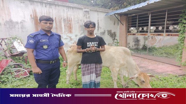নওগাঁয় গ্রাম পুলিশের সহায়তায় গরু চোর গ্রেপ্তার, গরু উদ্ধার