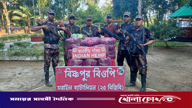 বিজয়নগরে বিজিবির অভিযানে ১০৪ কেজি ভারতীয় গাঁজা উদ্ধার