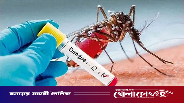 গাজীপুরে ডেঙ্গুর ভয়াবহ প্রকোপ, ২০ দিনে ১৩ জনের প্রাণহানি
