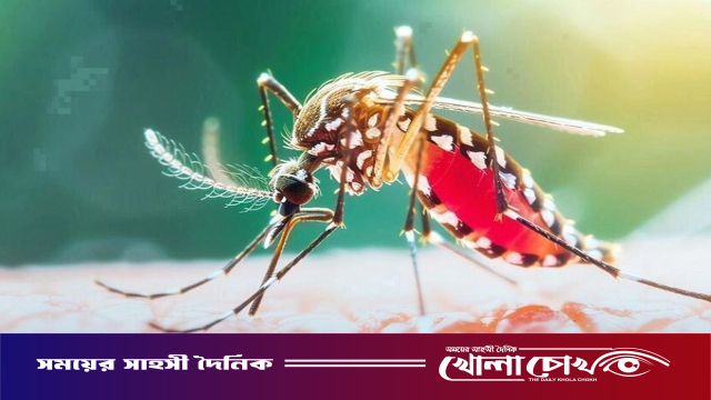 ২৪ ঘণ্টায় ডেঙ্গুতে প্রাণ হারালেন ৬ জন