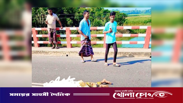 নওগাঁর মান্দায় ট্রাক-ভ্যান মুখোমুখি সংঘর্ষে চালক নিহত