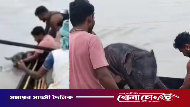 নদীতে ভেসে যাওয়া হাতির শাবককে নৌকায় তুলে বাঁচালেন জেলেরা, ফিরল মায়ের কাছে