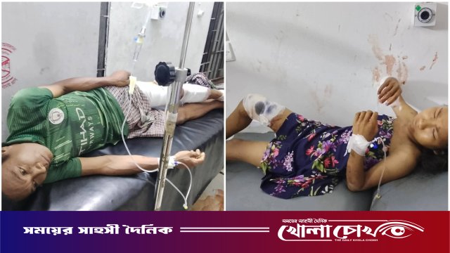 থানচিতে জুমখেতে বুনো শূকরের আক্রমণ, বাবা-মেয়ে গুরুতর আহত